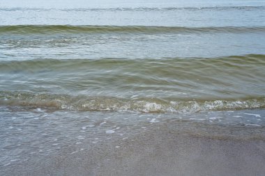 Baltık Denizi körfezi, sonbaharın sonlarına doğru, kumlu sahilli küçük dalgalar, gökyüzü bulutlu, yavaş çekim kepenkleri, yakın mesafeden, kıyı şeridi ve su dokuları