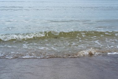 Baltık Denizi körfezi, sonbaharın sonlarına doğru, kumlu sahilli küçük dalgalar, gökyüzü bulutlu, yavaş çekim kepenkleri, yakın mesafeden, kıyı şeridi ve su dokuları