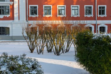 Jelgava Şatosu kışın akşam güneşinde ön planda karla kaplı kozalaklı ağaçlarla. Güneşten alçak bir açıdan çekilmiş, gökyüzü açık. Thujalar ve çalılar ön planda görünür.