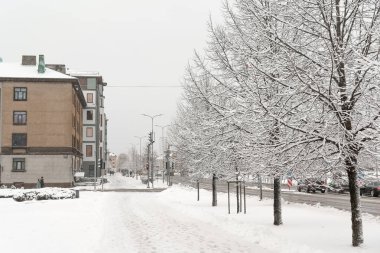 Kar yağışı altında bir şehir caddesi, cadde boyunca karla kaplı ağaçlar, ama arabalar cadde boyunca ilerliyor, yayalar karlı kaldırımlarda hareket ediyor, hava karlı.