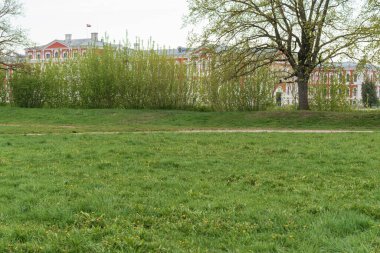Nehrin karşısındaki güzel kırmızı ve beyaz şatoda ağaçlar, çimenler ve bitkiler, sabahın erken saatlerinde fotoğraflanmış Jelgava Şatosu, Letonya, Letonya bayrağı kalede görülüyor.