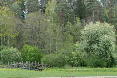 Baharın başında doğa parkında yürüyen turistler için tahta köprü.