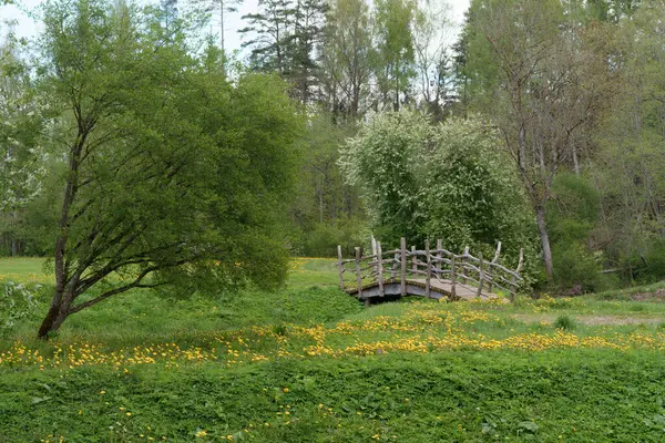 Baharın başında doğa parkında yürüyen turistler için tahta köprü.