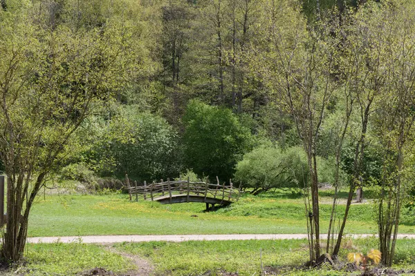 Baharın başında doğa parkında yürüyen turistler için tahta köprü.