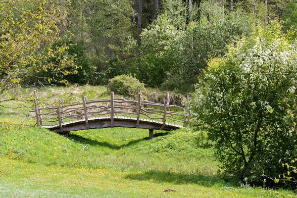 Baharın başında doğa parkında yürüyen turistler için tahta köprü.