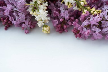 Sırayla beyaz bir masaya dizilmiş leylak çiçekli dallar, önü boş, arkada çiçekler, düşük açılı, doğal ışıklandırma.