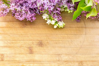Eski ve çizilmiş bir tahta üzerinde çeşitli renklerde leylak çiçekleri. Yazıtlar ve nesneler için boş alanı var. Yüksek bir açıyla, geniş bir alan derinliğinde fotoğraflanmış.