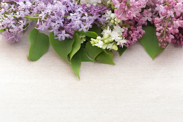 Yazıtlar ve nesneler için boş alanı olan keten kumaş arka planda farklı renklerde leylak çiçekleri, yüksek açılı, tam derinlikte fotoğraflanmış.