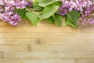 Eski ve çizilmiş bir tahta üzerinde çeşitli renklerde leylak çiçekleri. Yazıtlar ve nesneler için boş alanı var. Yüksek bir açıyla, geniş bir alan derinliğinde fotoğraflanmış.