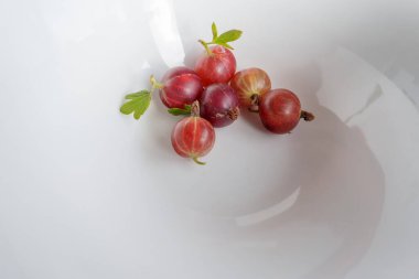 Beyaz bir kasede birkaç olgun bektaşi üzümü var. Bir dut ikiye bölünür ve eti ve tohumları ortaya çıkar. Arka plan temiz, beyaz bir kase.