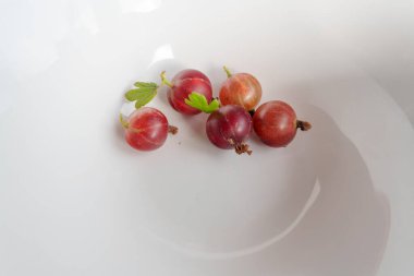 Beyaz bir kasede birkaç olgun bektaşi üzümü var. Bir dut ikiye bölünür ve eti ve tohumları ortaya çıkar. Arka plan temiz, beyaz bir kase.