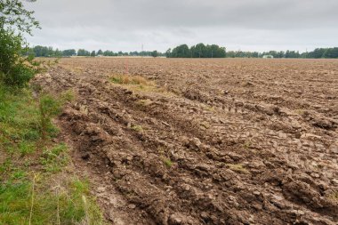 Zengin kahverengi toprak ve traktör izleriyle ekilmeye hazır geniş bir tarla. Çiftçiliği, bereketi ve yeni bir hasat vaadini temsil eden bir tarım arazisi.