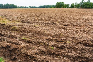 Zengin kahverengi toprak ve traktör izleriyle ekilmeye hazır geniş bir tarla. Çiftçiliği, bereketi ve yeni bir hasat vaadini temsil eden bir tarım arazisi.