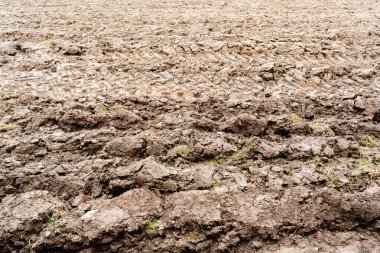 Zengin kahverengi toprak ve traktör izleriyle ekilmeye hazır geniş bir tarla. Çiftçiliği, bereketi ve yeni bir hasat vaadini temsil eden bir tarım arazisi.