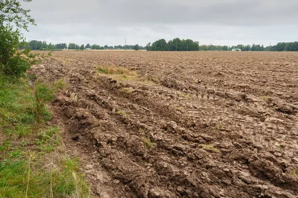 Zengin kahverengi toprak ve traktör izleriyle ekilmeye hazır geniş bir tarla. Çiftçiliği, bereketi ve yeni bir hasat vaadini temsil eden bir tarım arazisi.