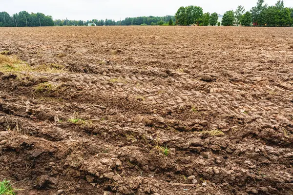 Zengin kahverengi toprak ve traktör izleriyle ekilmeye hazır geniş bir tarla. Çiftçiliği, bereketi ve yeni bir hasat vaadini temsil eden bir tarım arazisi.