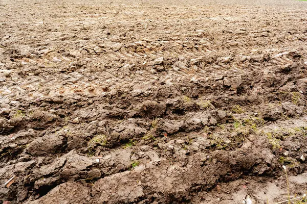 Zengin kahverengi toprak ve traktör izleriyle ekilmeye hazır geniş bir tarla. Çiftçiliği, bereketi ve yeni bir hasat vaadini temsil eden bir tarım arazisi.
