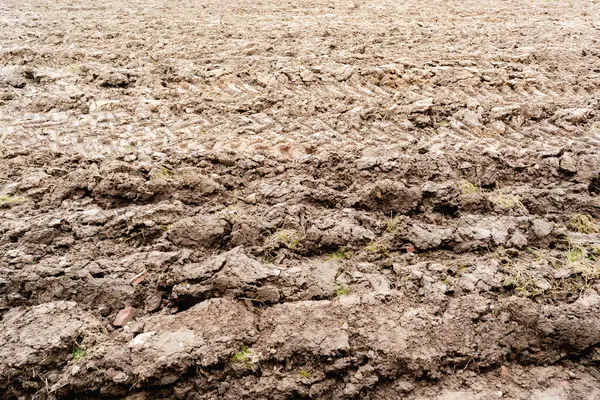 Zengin kahverengi toprak ve traktör izleriyle ekilmeye hazır geniş bir tarla. Çiftçiliği, bereketi ve yeni bir hasat vaadini temsil eden bir tarım arazisi.