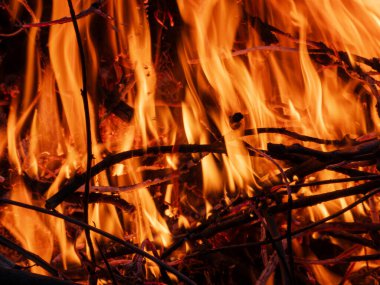 Kükreyen bir şenlik ateşine yakın. Ateş dilleri havada yalanıyor ve kömürleşmiş yapraklar sıcak bir sonbahar akşamının özünü kapsıyor. Arkadaşları ve aileleriyle birlikte.