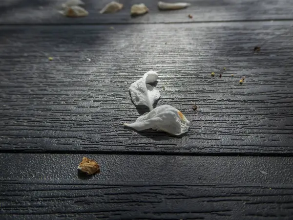 Kara Ormanda Narin Beyaz Tomurcuklar.