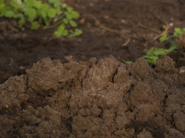 Zengin Koyu Kahverengi Bahçe Dokusunu