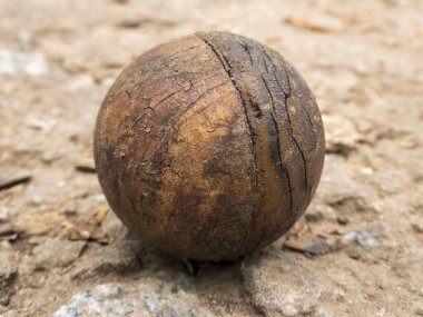 Yerdeki Yıpranmış Bir Fındık 'ın Yakın Çekimi