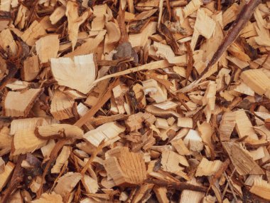 Bol renkli ahşap parçaları, doğal doku ve organik arka plan..