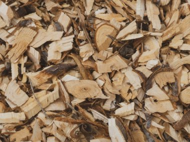 Karışık ahşap parçaları, doğal doku ve organik zemin örtüsü..