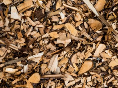 Doğal odun parçaları, bahçe yatakları ve patikalar için mükemmel..