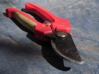 Kırmızı saplı budama makası, açık bıçaklar, güçlü gölgeler, desenli yüzey..