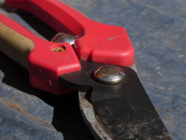 Kırmızı saplı budama makası, iyi kullanılmış, desenli bir yüzey üzerinde dinleniyor..