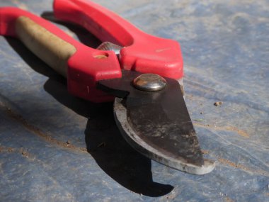 Kırmızı saplı budama makası, açık bıçaklar, güçlü gölgeler, desenli yüzey..