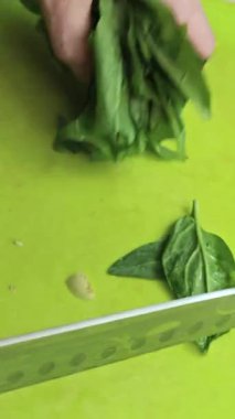 Canlı yeşil bir kesim tahtasının üzerinde taze ıspanak yapraklarını ince ince doğrayan birinin yakın çekim görüntüsü..
