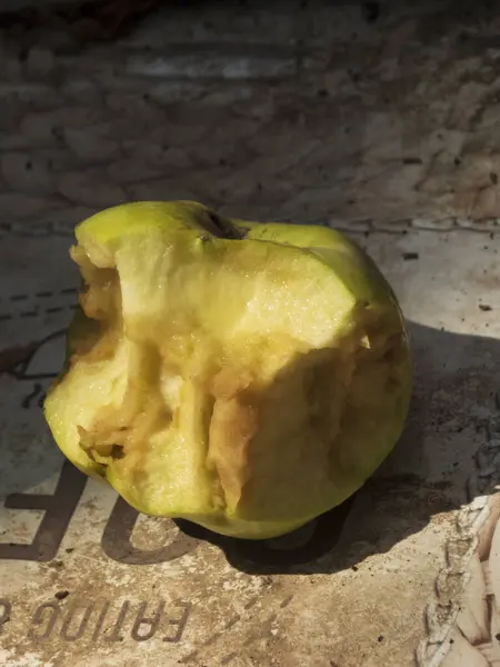 Yarısı yenmiş ve çürümüş yeşil bir elma..