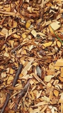 Açık Ahşap Cipslerle Kaplanmış Doğal Zemin