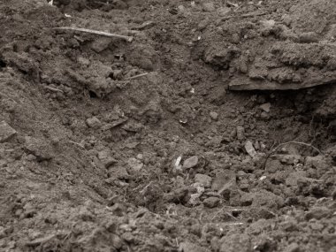 Koyu kahverengi toprak, pürüzlü ve pürüzlü bir yapısı var..