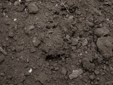 Koyu, kabataslak, hantal bir yapısı olan, zengin bir toprak..