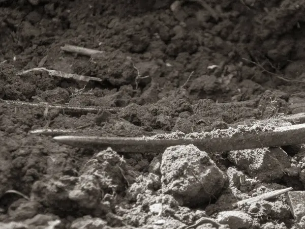 Sert ve kümelenmiş dokusu olan koyu, zengin toprak..