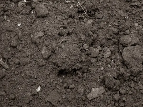 Koyu, kabataslak, hantal bir yapısı olan, zengin bir toprak..