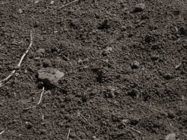 Küçük parçalar ve organik maddeyle kaplanmış toprak..