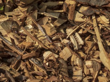 Çeşitli doğal odun parçaları ve kıymık yığınları..