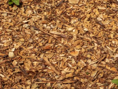 Doğal odun parçaları ve öğütülmüş ağaç kabuğu..