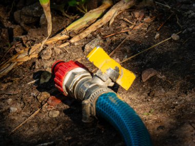 Kırmızı vanalı mavi bahçe hortumu..