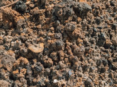 Verimli, dokulu toprağın detaylı makro görüntüsü..
