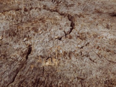 Sert, kırık ahşap yüzey, derin, doğal dokuları var..