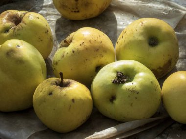 Taze toplanmış organik elmalar yemek için hazır..