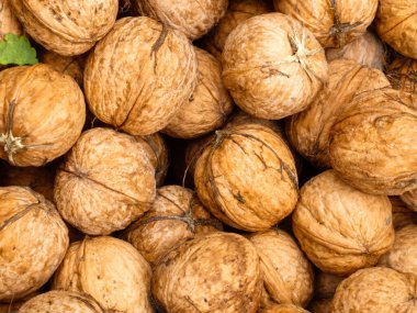 Yakın plan kabuklu taze ceviz zengin doğal kahverengi dokusunu gösteriyor.