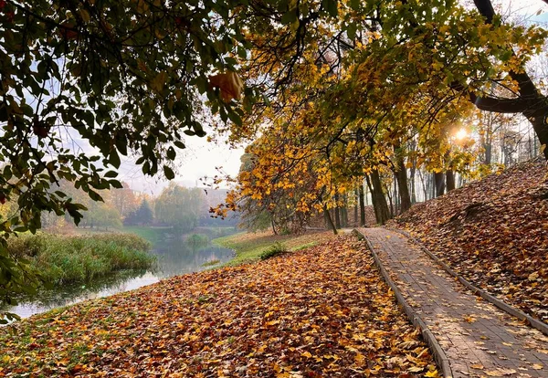 Piękny Krajobraz Złoty Jesień Parku Miejskim Nad Jeziorem — Zdjęcie stockowe