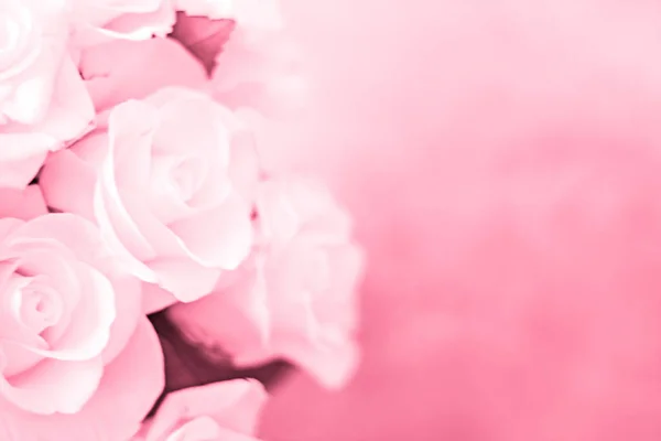 Viva Magenta Hermosas Rosas Delicadas Sobre Fondo Rosa Color Del — Foto de Stock