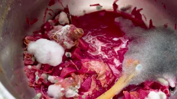 在变质的甜菜汤中 肉上有灰白色的霉菌 — 图库视频影像